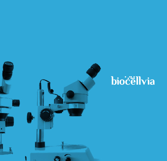 Investir dans Biocellvia