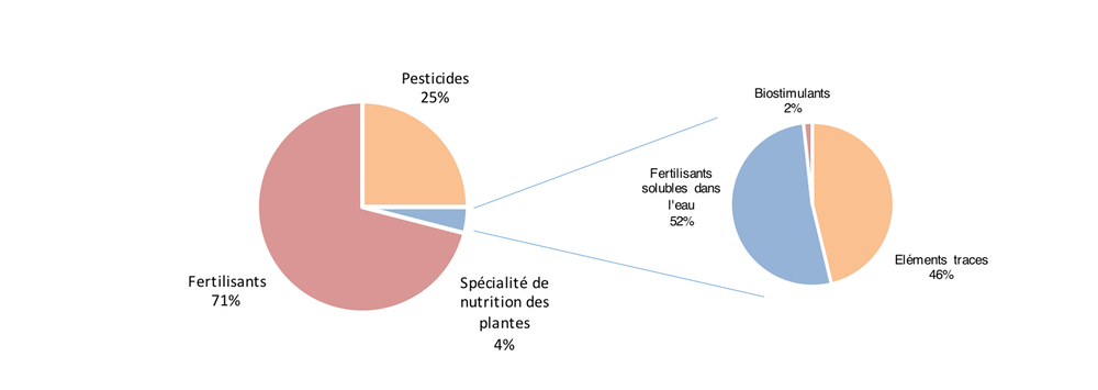 Axioma graphiques