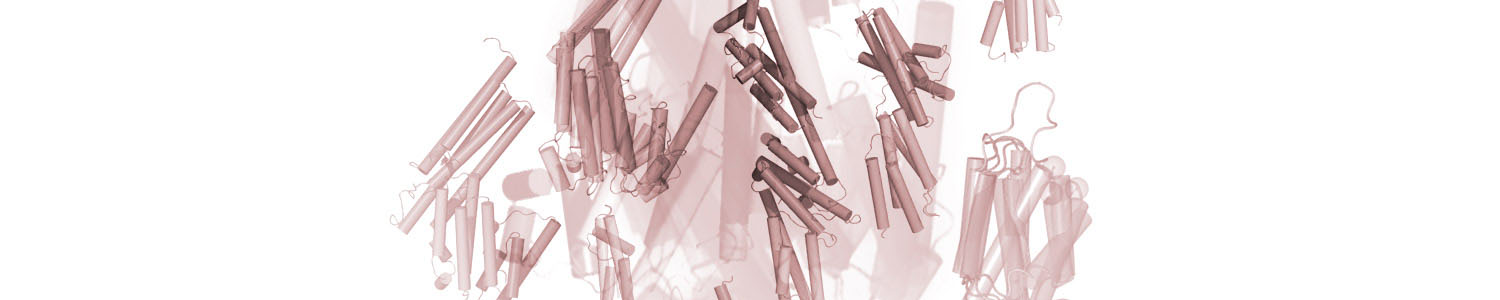 kits de diagnostic